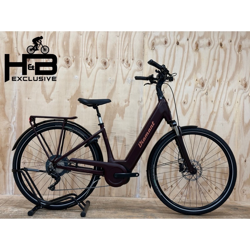 Diamant Zagor Deluxe + E-Bike|45