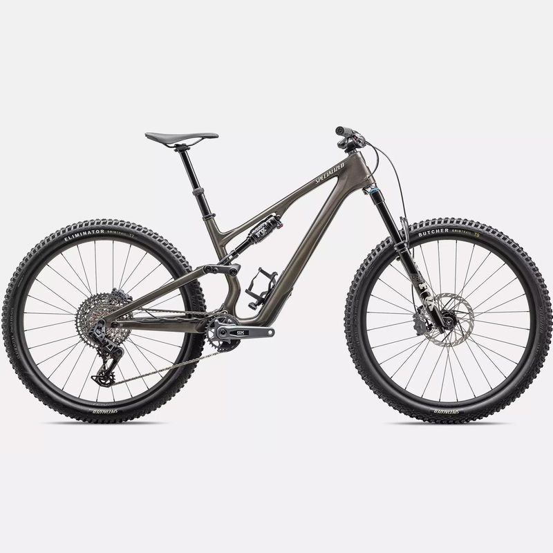 Specialized Stumpjumper 15 Expert – Grigio