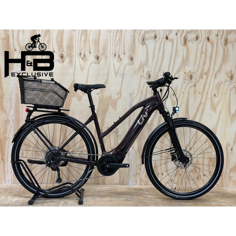 Giant Liv Amiti E+2 E-Bike|L