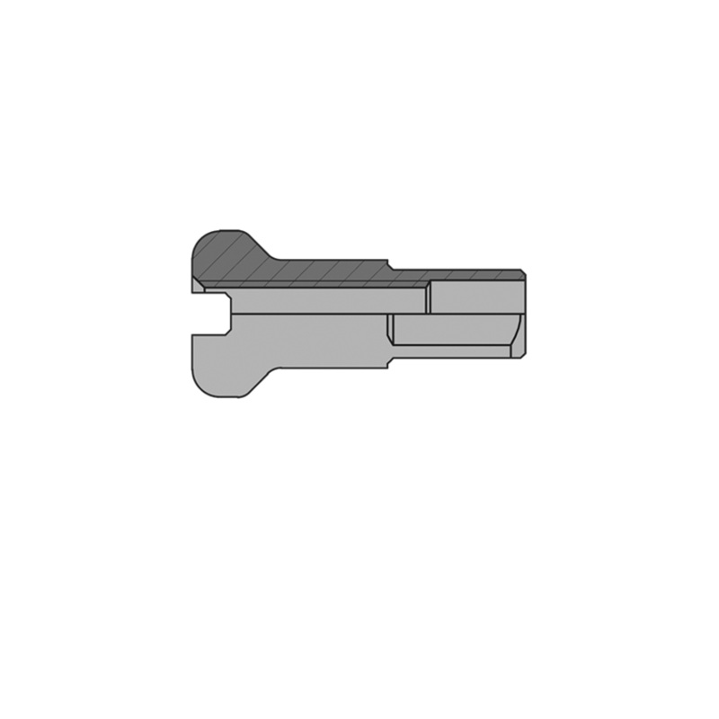 DT Swiss – E-Bike Nipples – Brass